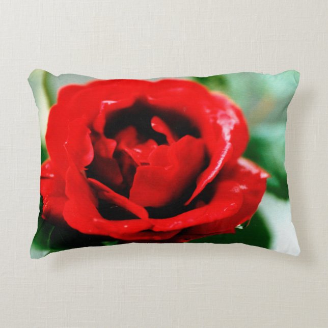 Rote Rose mit Taubenfallen Dekokissen (Vorderseite)
