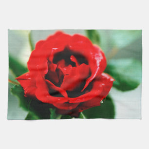 Rote Rose mit Taubenfallen Geschirrtuch