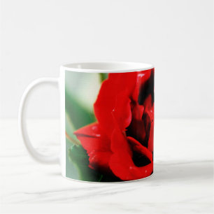 Rote Rose mit Taubenfallen Kaffeetasse