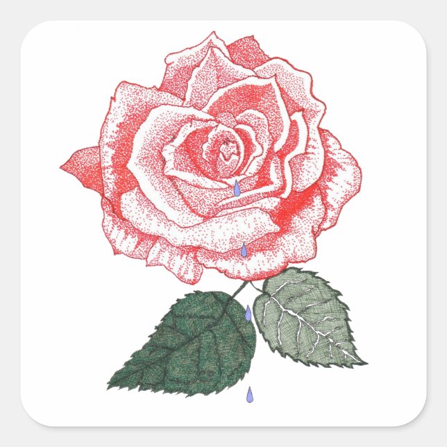 Rote Rose mit Taubtropfen von Petalen Quadratischer Aufkleber (Vorderseite)