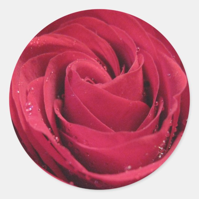 Rote Rose mit Wasser-Tröpfchen Runder Aufkleber (Vorderseite)