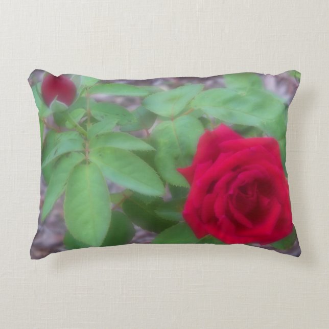 Rote Rose mit weichem Fokus auf einem Kissen (Vorderseite)