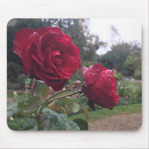 Rote Rose Mousepad