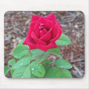 Rote Rose Mousepad