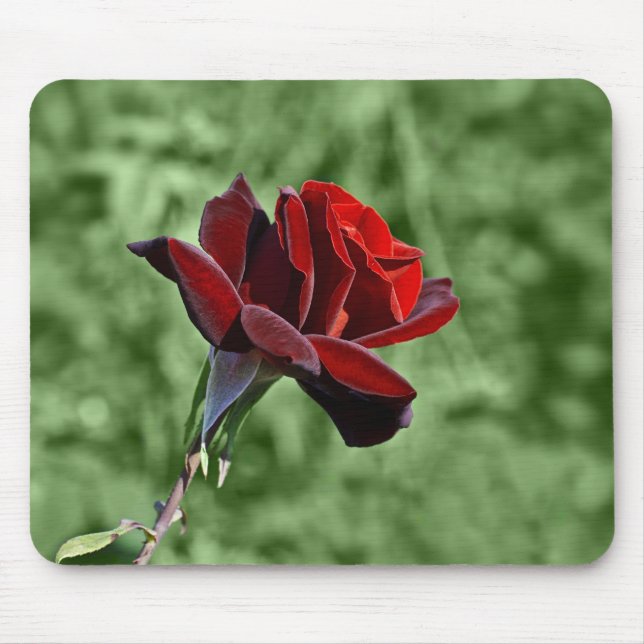 Rote Rose Mousepad (Vorne)