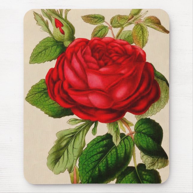Rote Rose Mousepad (Vorne)