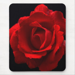 Rote Rose mpcnm Mousepad