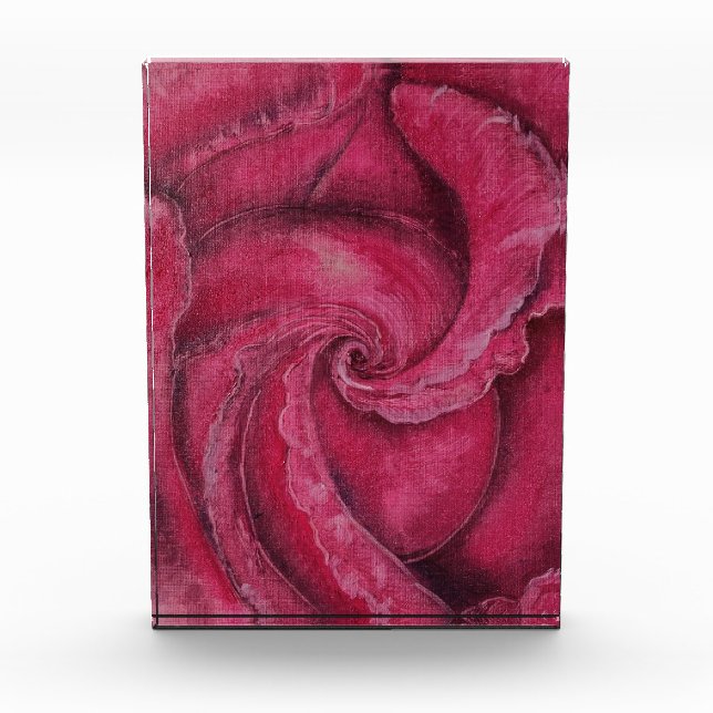 Rote Rose nah Fotoblock (Vorderseite)