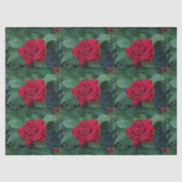 Rote Rose Nah Seidenpapier