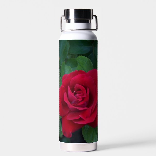 Rote Rose Nah Trinkflasche (Rückseite)