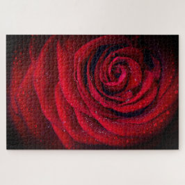Rote Rose Nah-up-Foto