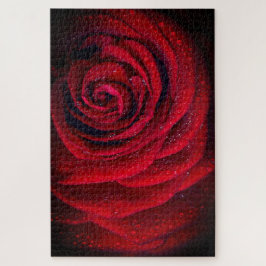 Rote Rose Nah-up-Foto