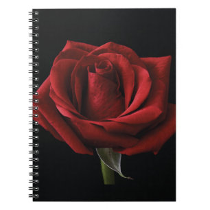 Rote Rose Notizblock