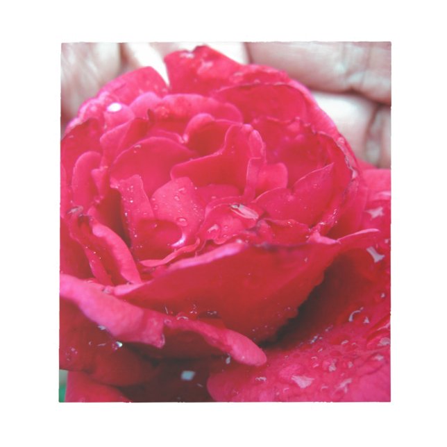 Rote Rose Notizblock (Vorderseite)