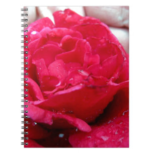 Rote Rose Notizblock