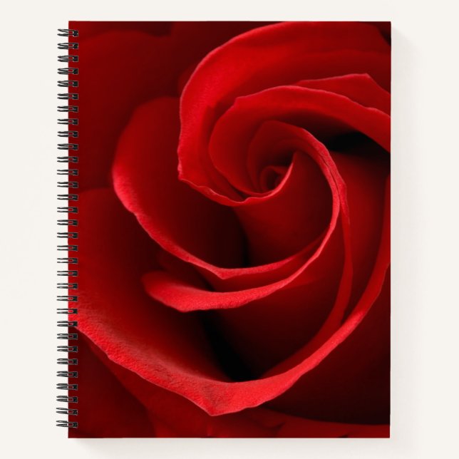 Rote Rose Notizbuch (Vorderseite)