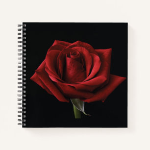 Rote Rose Notizbuch