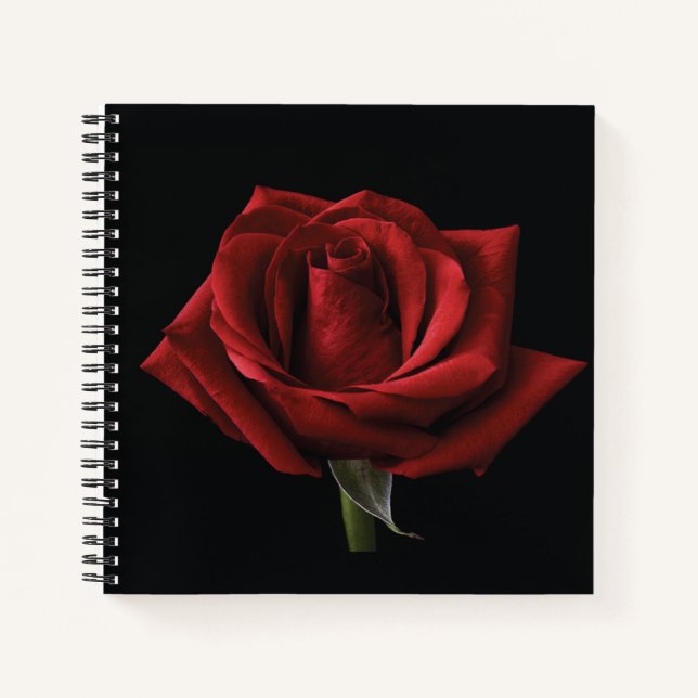 Rote Rose Notizbuch (Vorderseite)