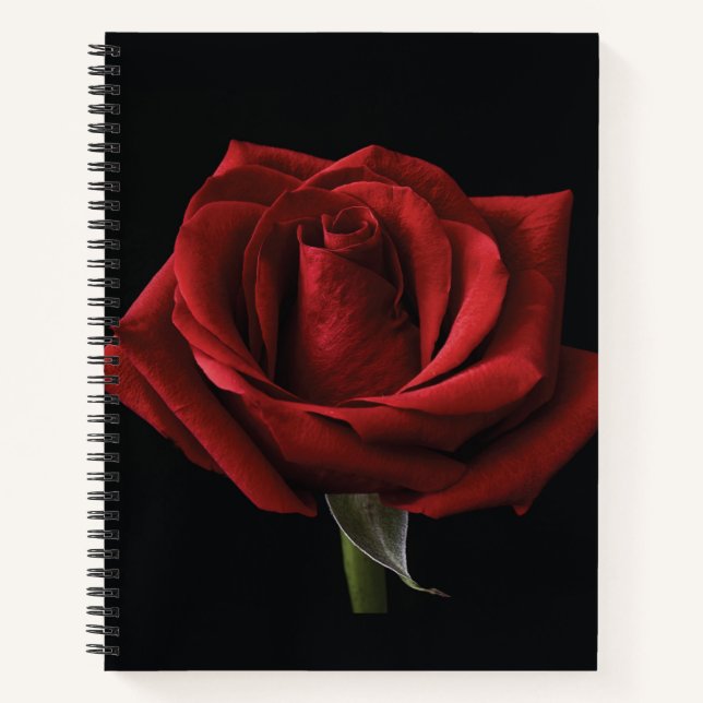 Rote Rose Notizbuch (Vorderseite)