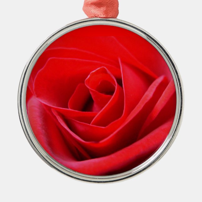 Rote Rose Ornament Romantische Rose (Vorne)