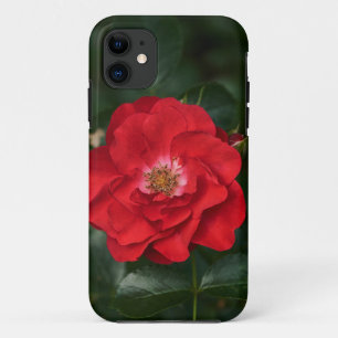 Rote Rose P 6568 Case-Mate iPhone Hülle