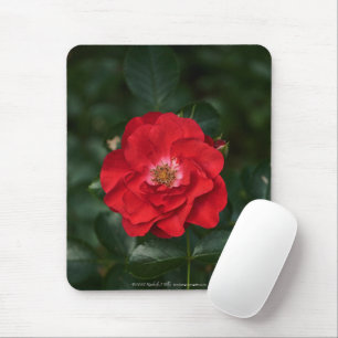 Rote Rose P 6568 Mousepad