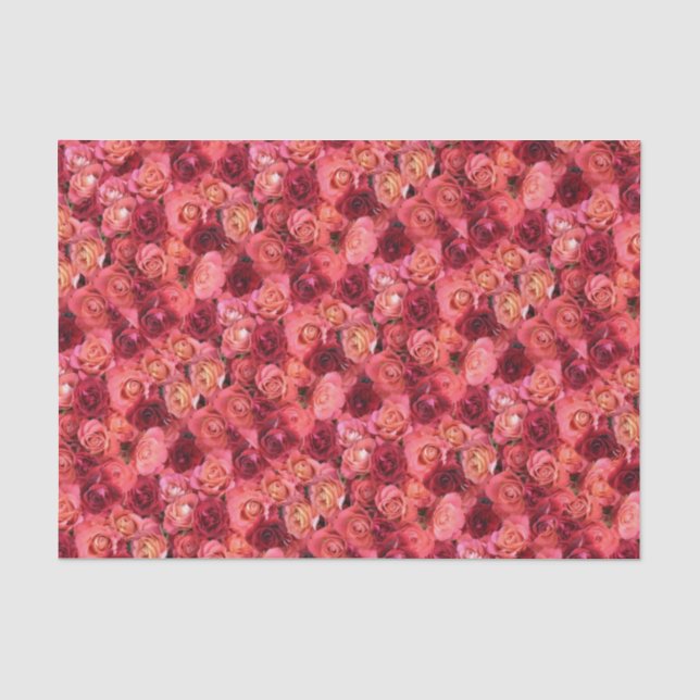 Rote Rose PINK Seidenpapier (Vorderseite)
