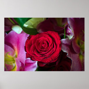 ROTE ROSE POSTER