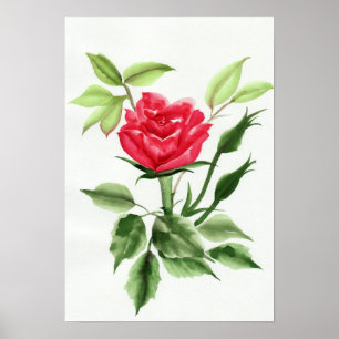 Rote Rose Poster