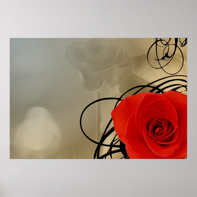 Rote Rose Poster (Vorne)