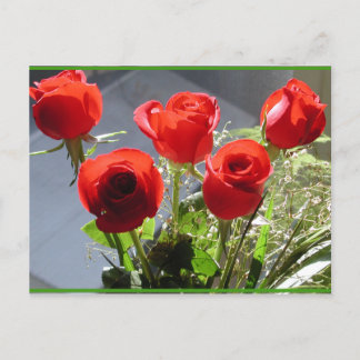 Rote Rose Postkarte