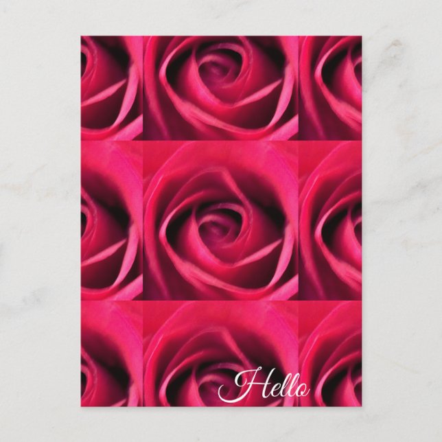 Rote Rose Postkarte (Vorderseite)
