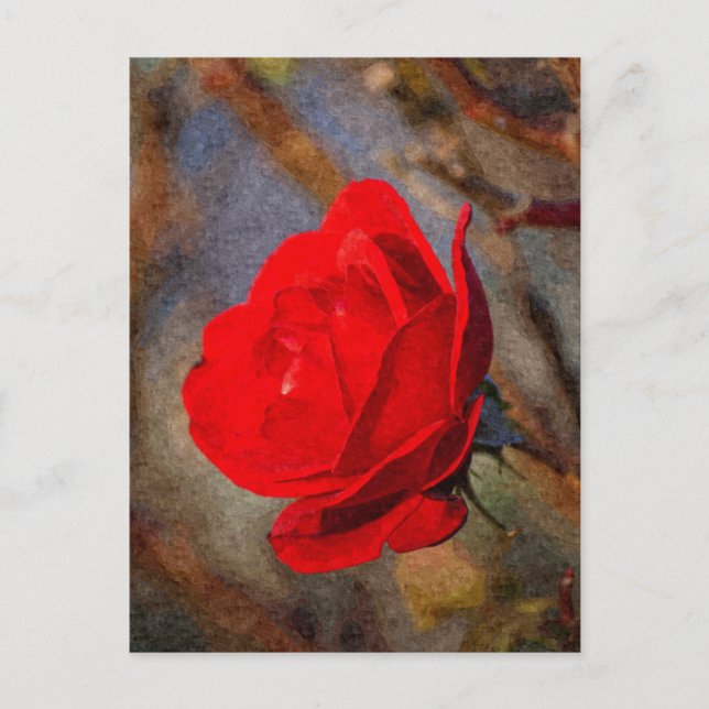 Rote Rose Postkarte (Vorderseite)