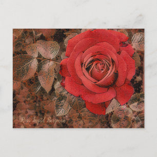 rote Rose [Postkarte] Postkarte