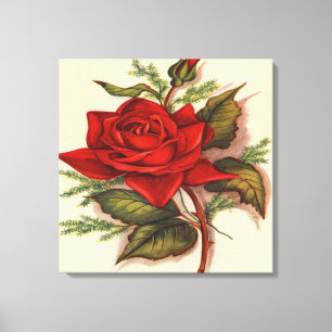 Rote Rose Premium Wrapped Canvas (Glanz) Leinwanddruck