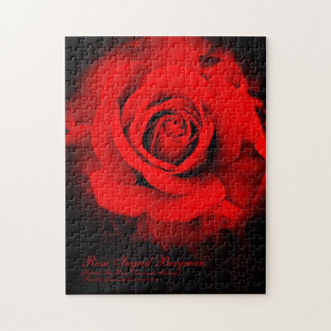 Rote Rose [Puzzle (252 Stück)] (Vertikal)