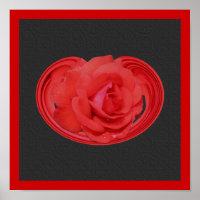 Rote Rose Raindrops Design Blumenplakat
