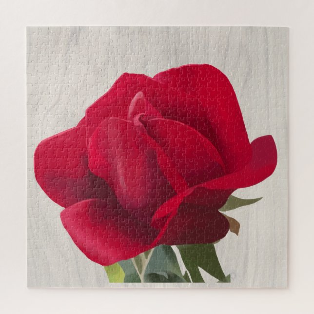 Rote Rose - Red rose  (Vertikal)