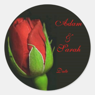 Rote Rose, Revers-Rose, Adam u. Sarah, Datum Runder Aufkleber
