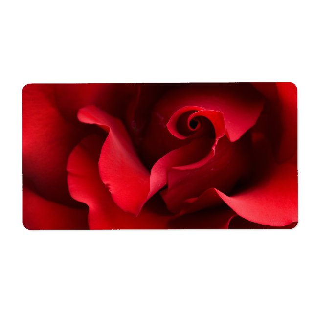 Rote Rose - Rose Maßgeschneiderte Vorlage (Vorne)