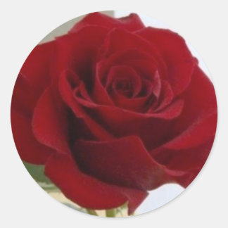 Rote Rose Runder Aufkleber