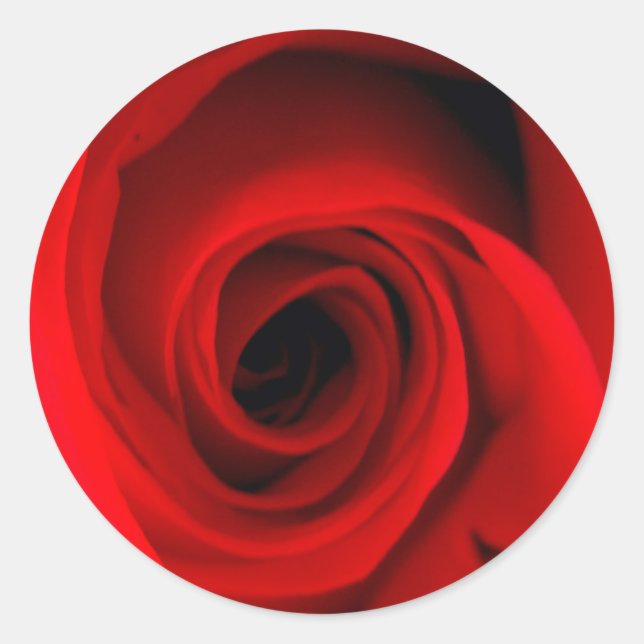 Rote Rose Runder Aufkleber (Vorderseite)