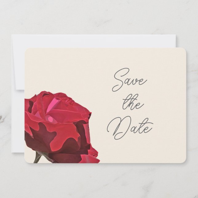 Rote Rose Save the Date Karte (Vorderseite)