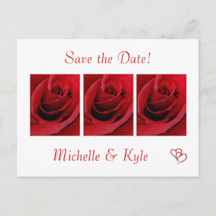 Rote Rose Save the Date Postkarte