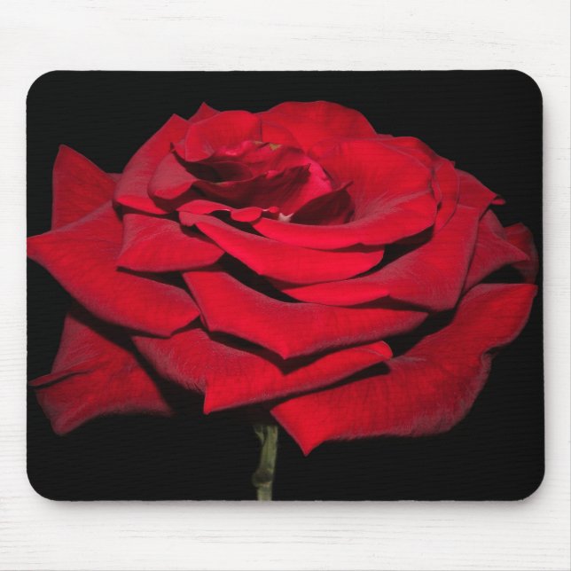 Rote Rose - Schwarz Mousepad (Vorne)