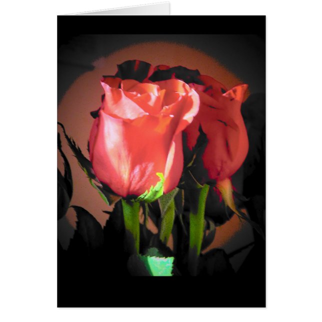 Rote Rose Schwarzer Hintergrund (Vorne)