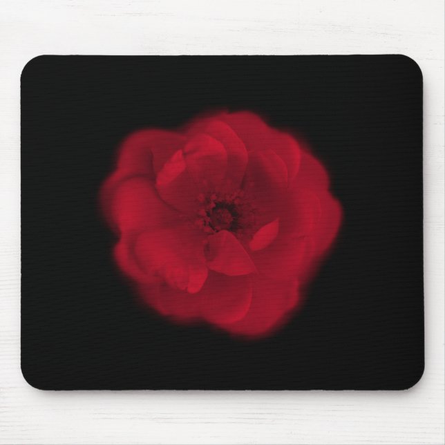Rote Rose. Schwarzer Hintergrund Mousepad (Vorne)
