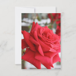 Rote Rose Scottish Birthday Card Gedicht