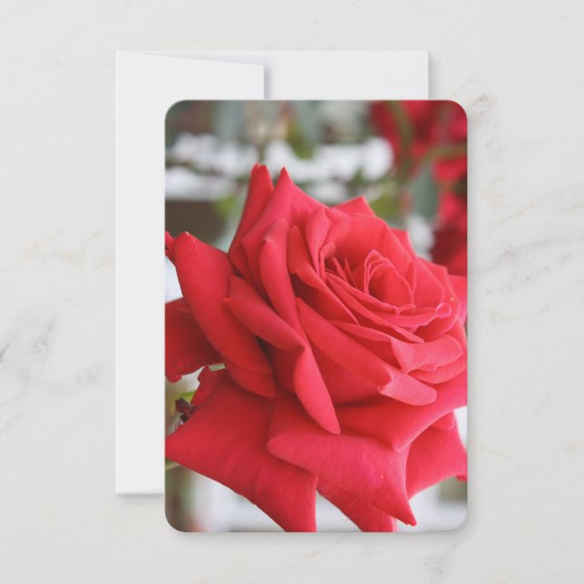 Rote Rose Scottish Gedicht Birthday Card (Vorderseite)