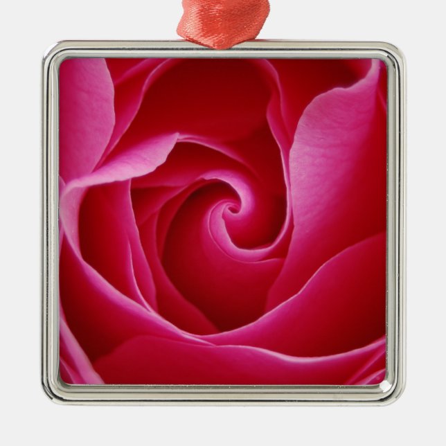 Rote Rose Silbernes Ornament (Vorne)